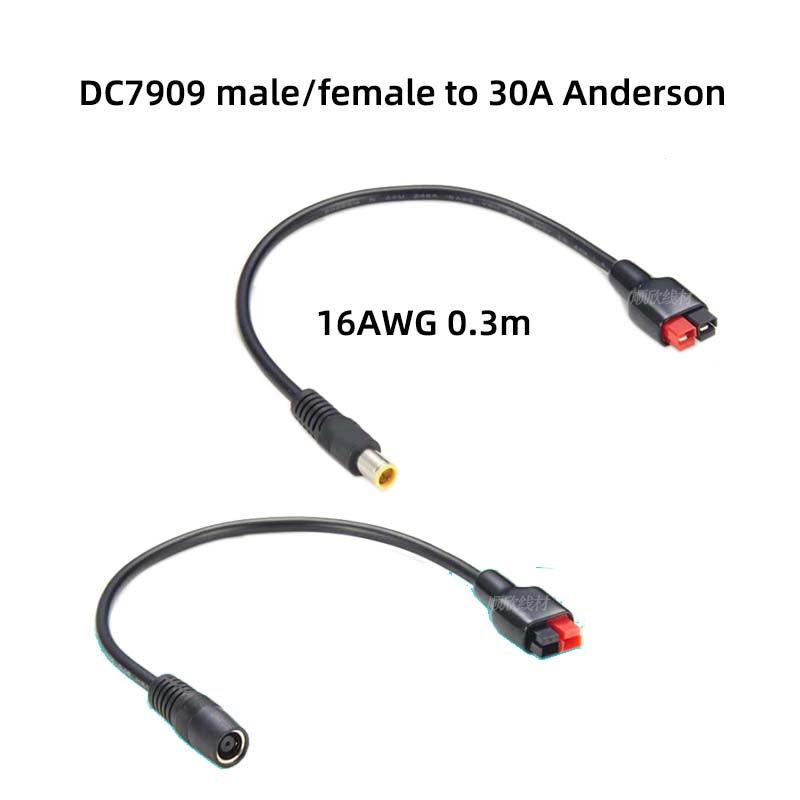 Outdoor Power Extension Cord - DC7909 male and female to 30A